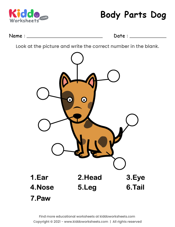 Free Printable Body Parts of Dog Worksheet - kiddoworksheets