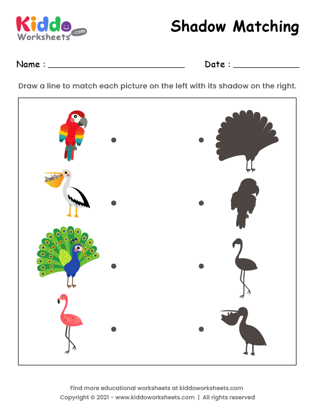 free-printable-shadow-match-birds-worksheet-kiddoworksheets