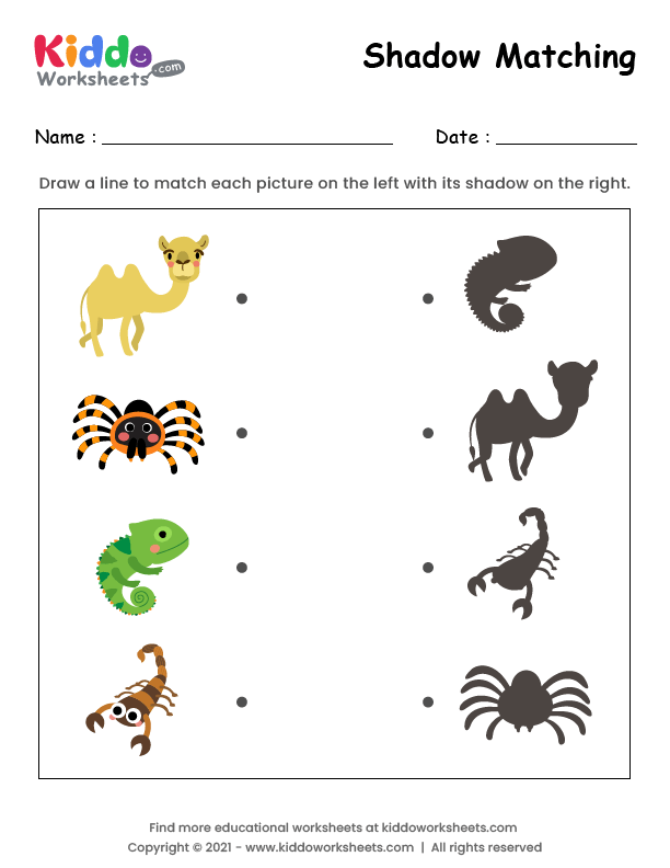 Free Printable Shadow Match Desert Animals Worksheet - kiddoworksheets