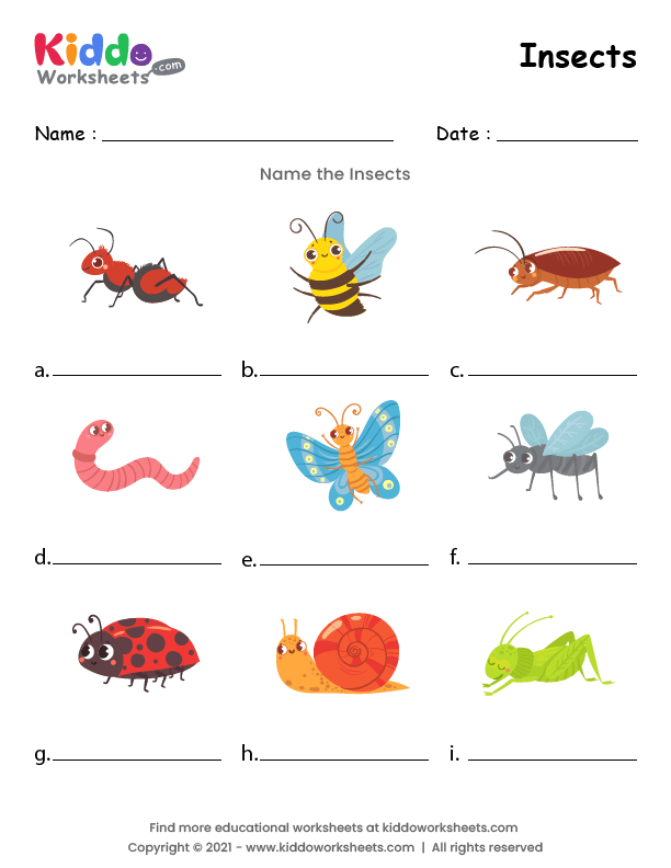 free printable insects worksheet kiddoworksheets