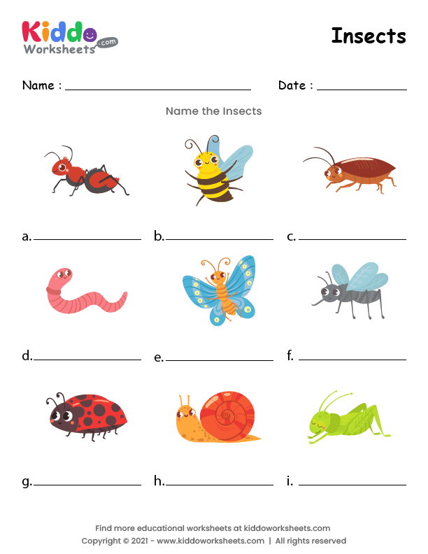 Worksheets On Insects For Kindergarten Worksheets For Kindergarten