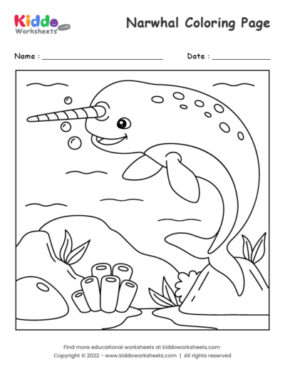 Narwhal coloring page