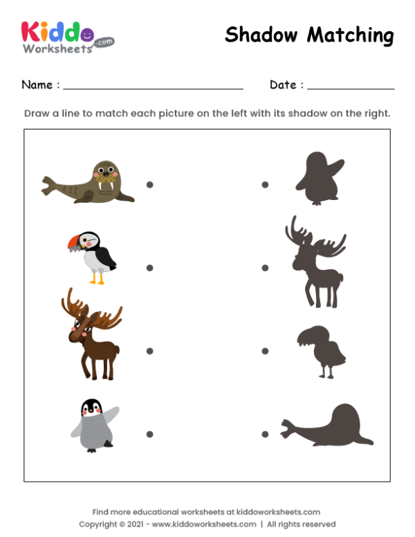 Free Printable Shadow Match Arctic Animals Worksheet - kiddoworksheets free-printable-shadow-match-arctic-animals-worksheet-kiddoworksheets