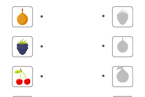 Shadow Matching Fruits Worksheet 5-5