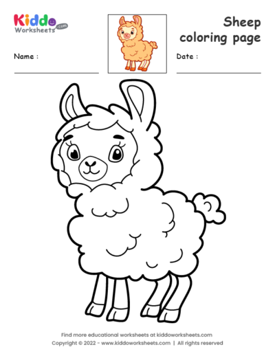 Sheep coloring page