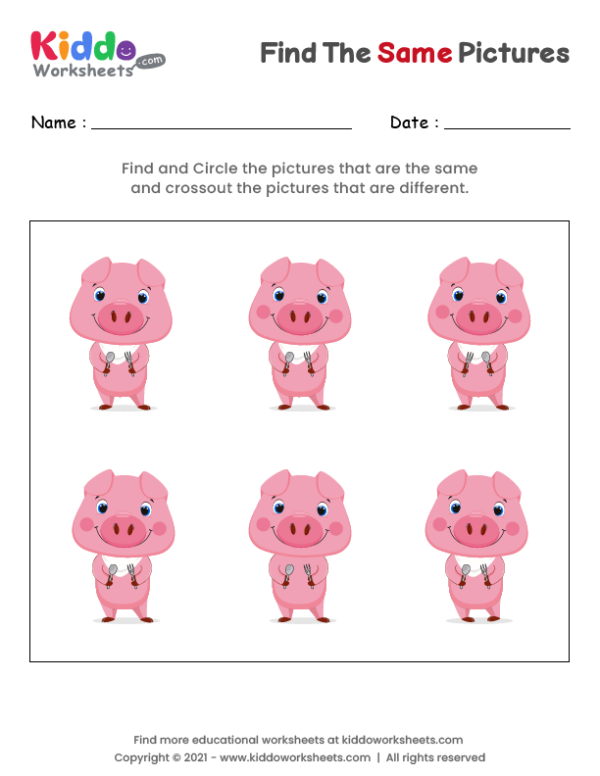 Find the same Pig