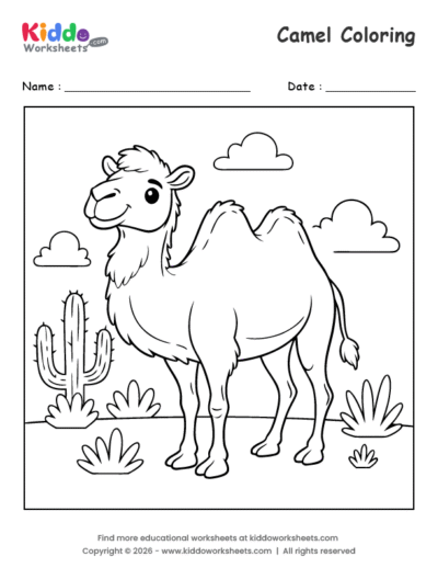Camel Coloring Page
