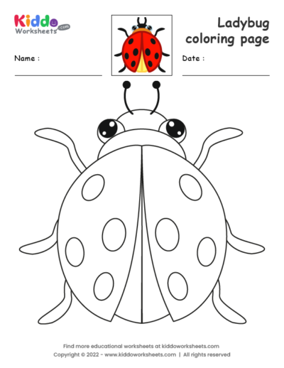 Ladybug coloring page