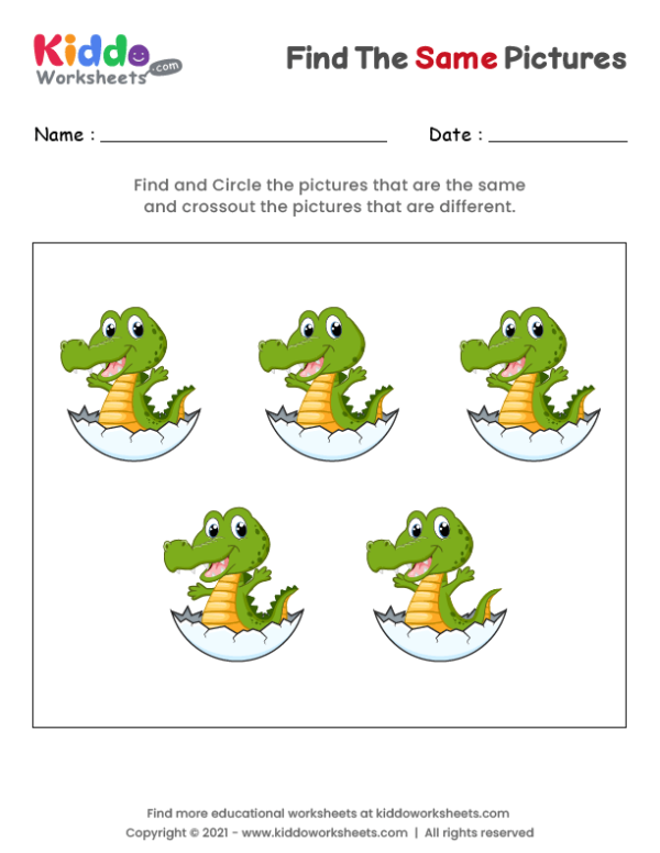 Find the same Crocodile