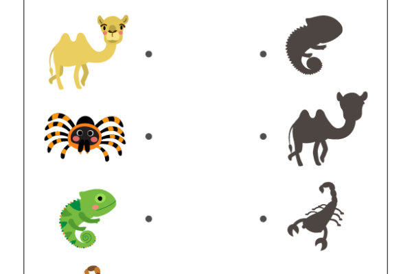 Shadow Matching Desert Animals Worksheet