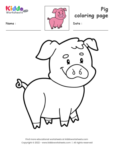 Pig coloring page