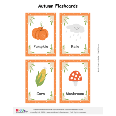 Autumn Flashcards