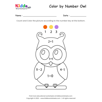 Color by Number Owl