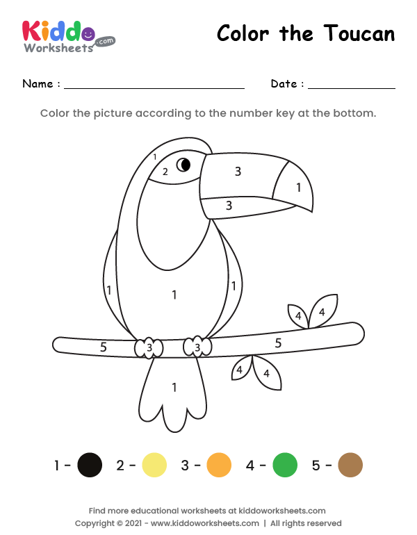 Color the Toucan