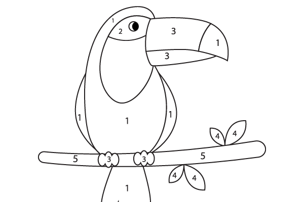 Color the Toucan Worksheet