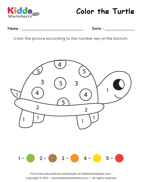 Color the Turtle