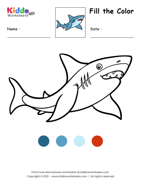 Coloring Shark