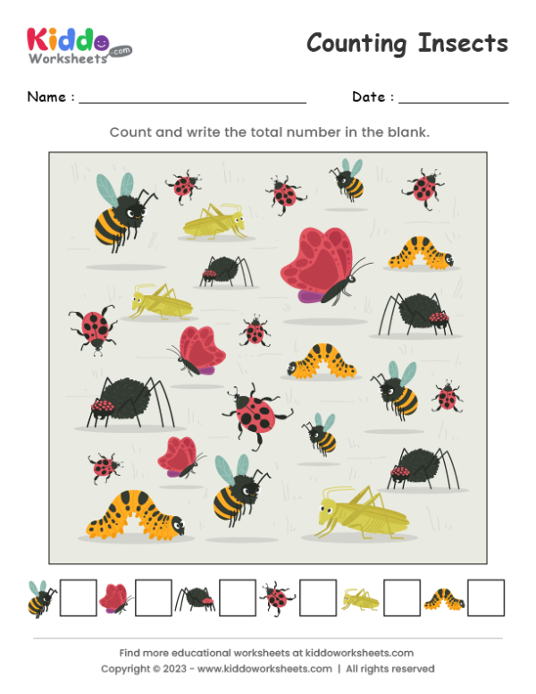 Counting Insects