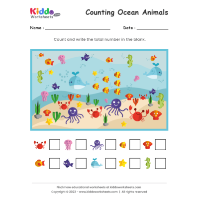Counting Ocean Animals
