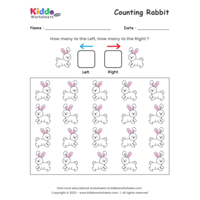 Counting Rabbit