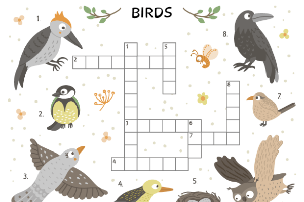 Crossword Puzzle Birds Worksheet