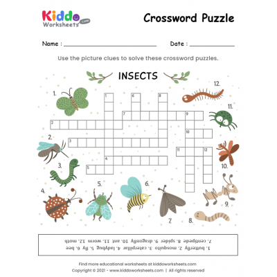 Crossword Puzzle Insects