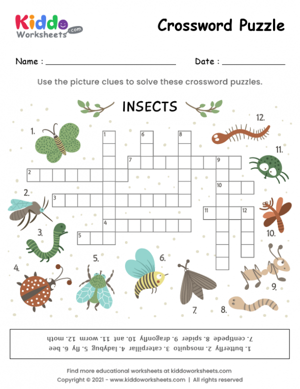 Crossword Puzzle Insects