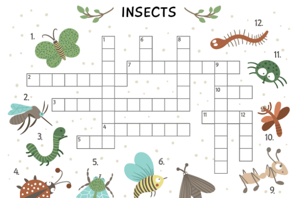 Crossword Puzzle Insects Worksheet