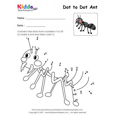Dot to Dot Ant