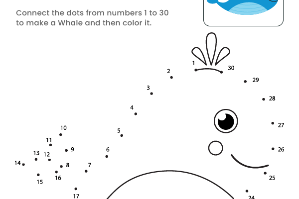 Dot to Dot Whale Worksheet