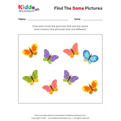 Find the same Butterflies