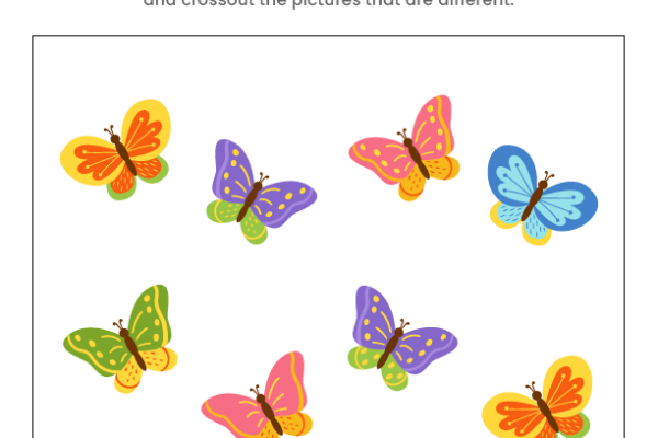 Find the same Butterflies Worksheet