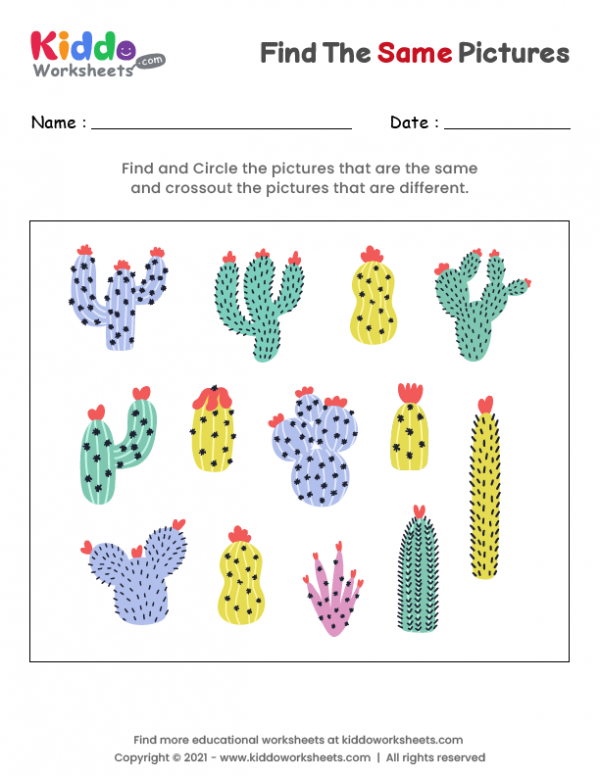 Find the same Cactuses