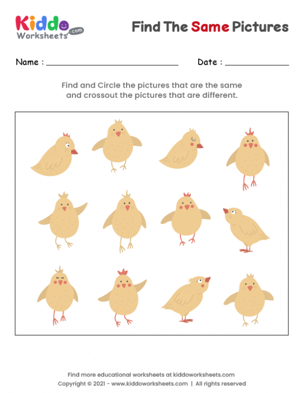 Find the same Chickens