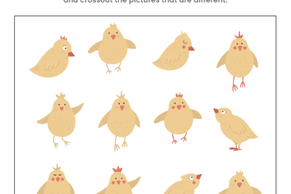 Find the same Chickens Worksheet