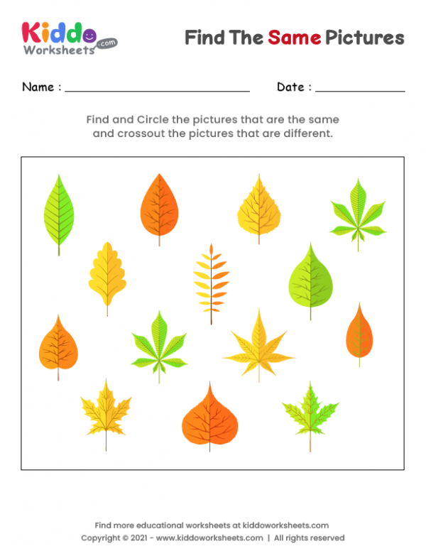 Find the same Leaves