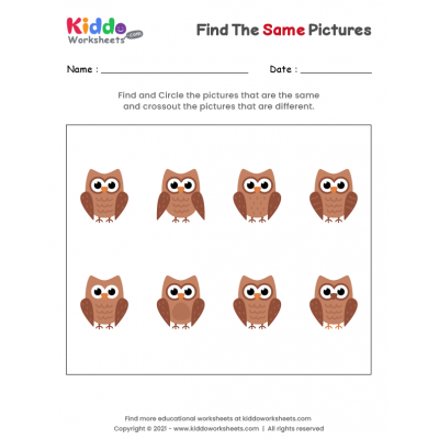 Find the same Owl