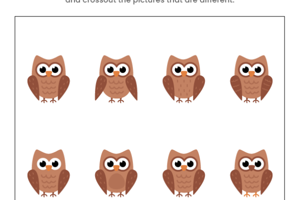 Find the same Owl Worksheet