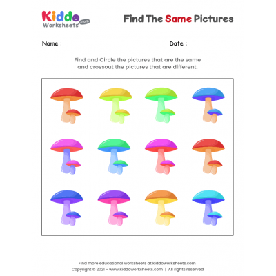 Find the same Pictures 5