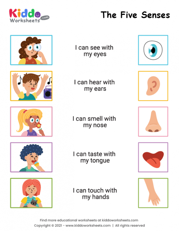 free printable five senses worksheet kiddoworksheets