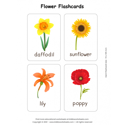 Flowers Flashcards