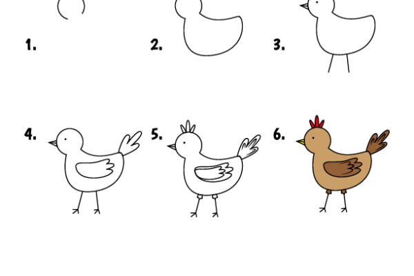 How to draw Chicken worksheet
