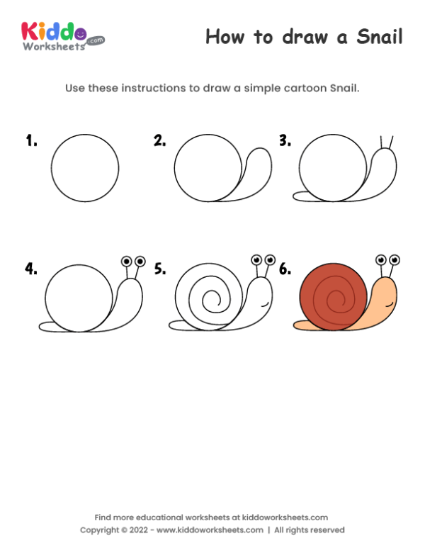 How to draw Snail
