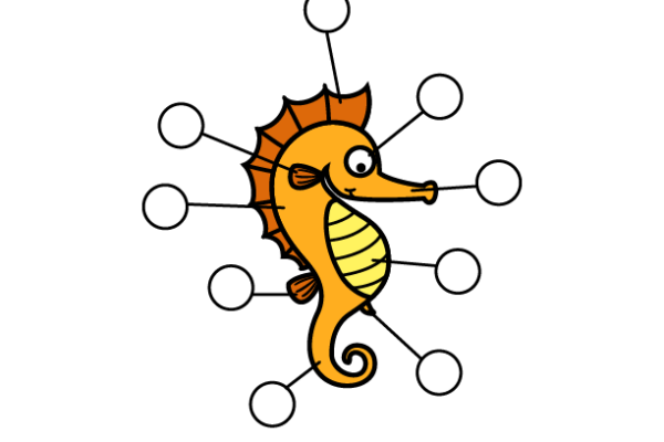 Label the Body Parts of Sea Horse Worksheet