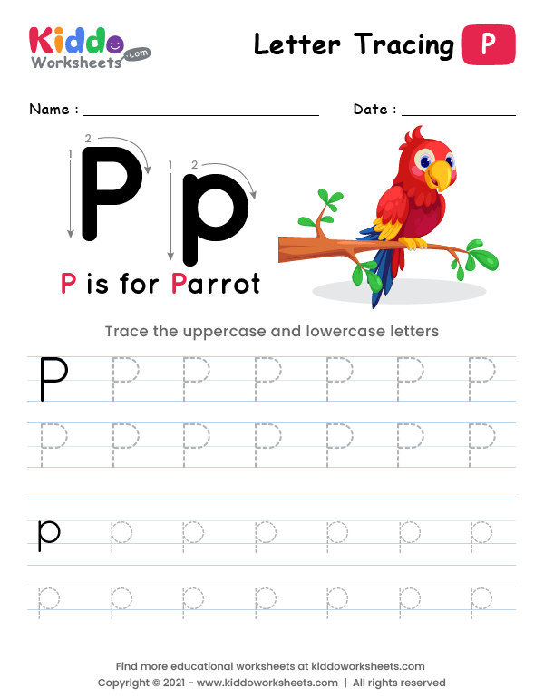 Tracing the Letter P