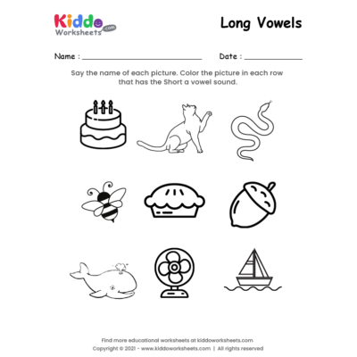 Long Vowels Worksheet 2