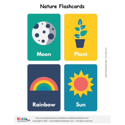 Nature Flashcards
