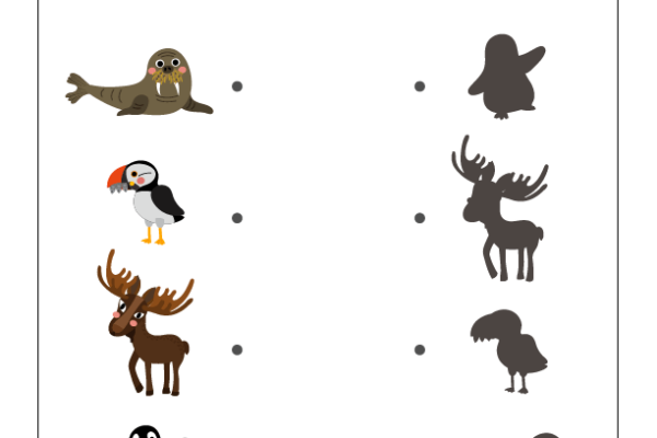 Shadow Matching Arctic Animals Worksheet