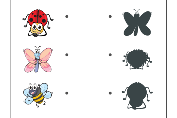 Shadow Matching Insects Worksheet