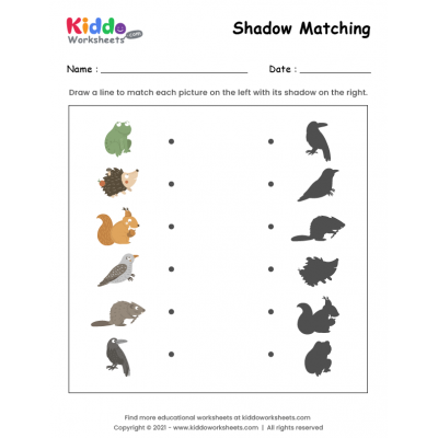 Animals Shadow Match